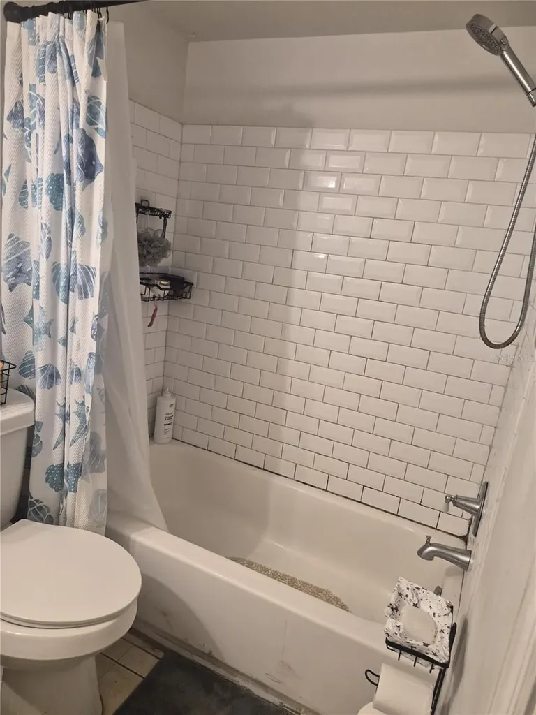 202 Poinsettia Pine Court Tampa FL 33612