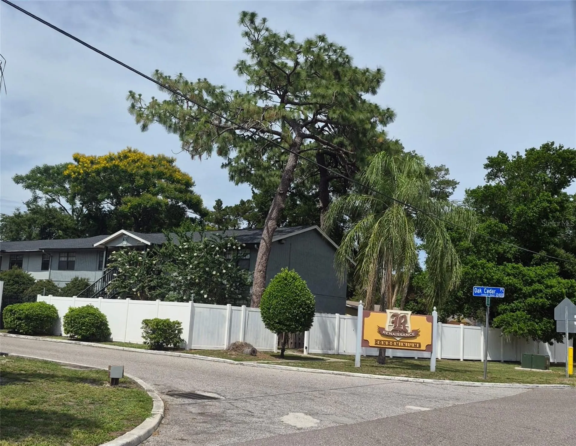 202 Poinsettia Pine Court Tampa FL 33612