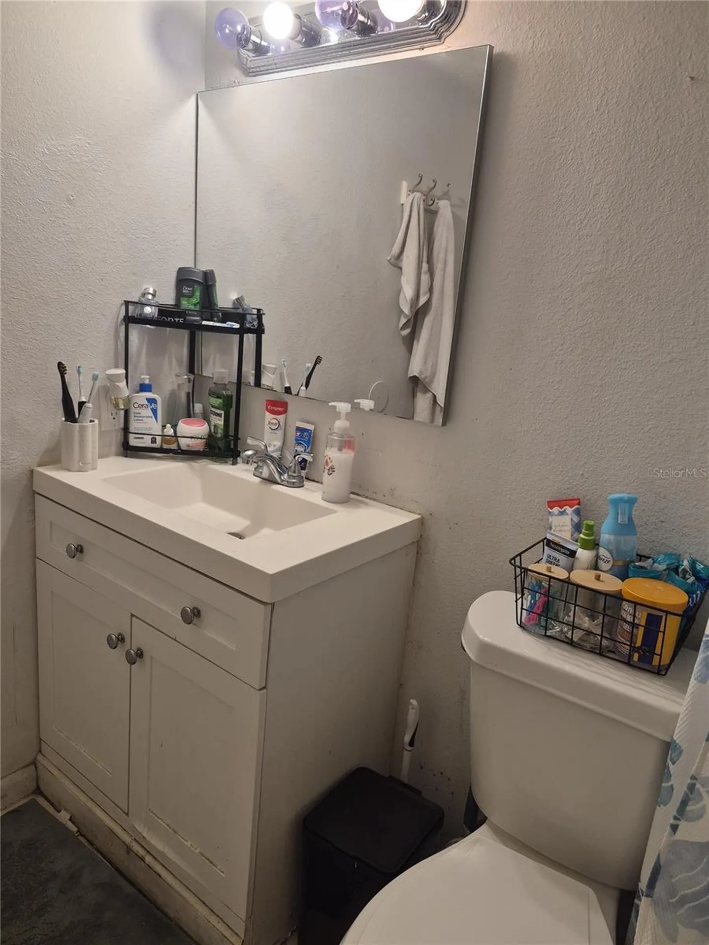 202 Poinsettia Pine Court Tampa FL 33612