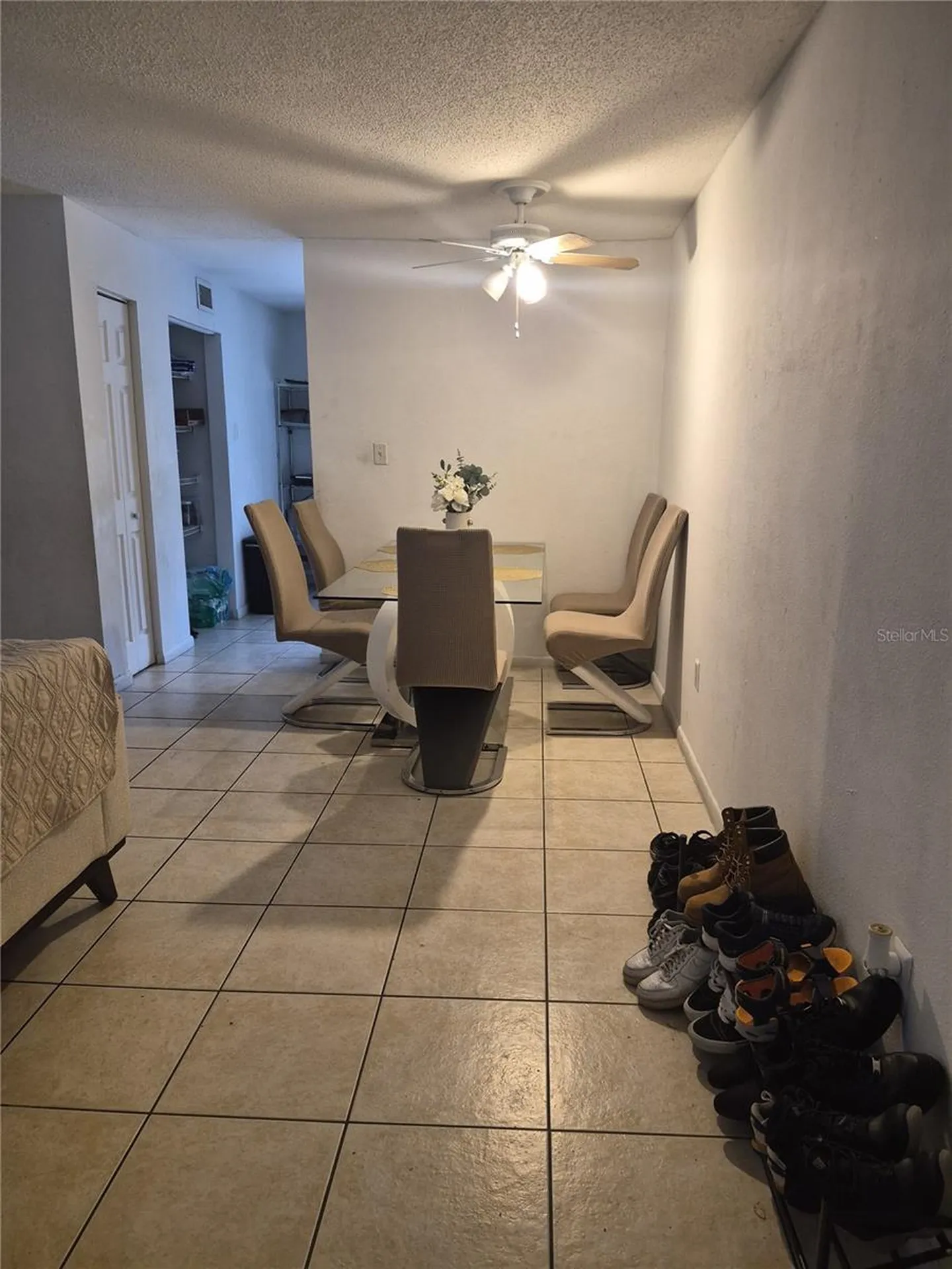 202 Poinsettia Pine Court Tampa FL 33612