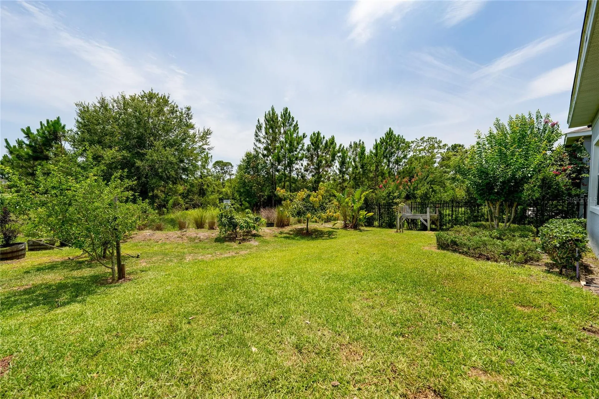 7687 Bowery Drive Winter Garden FL 34787