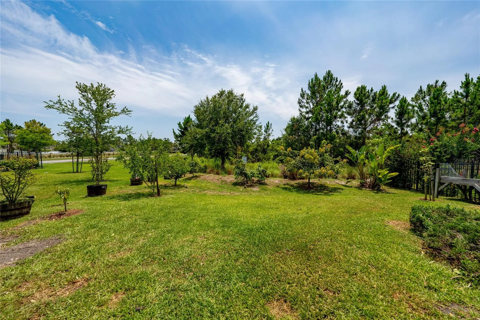 7687 Bowery Drive Winter Garden FL 34787