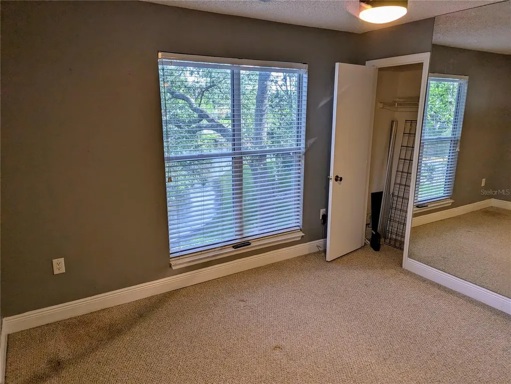 4211 Chatham Oak Court Tampa FL 33624