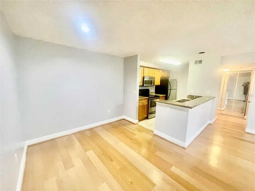 4211 Chatham Oak Court Tampa FL 33624