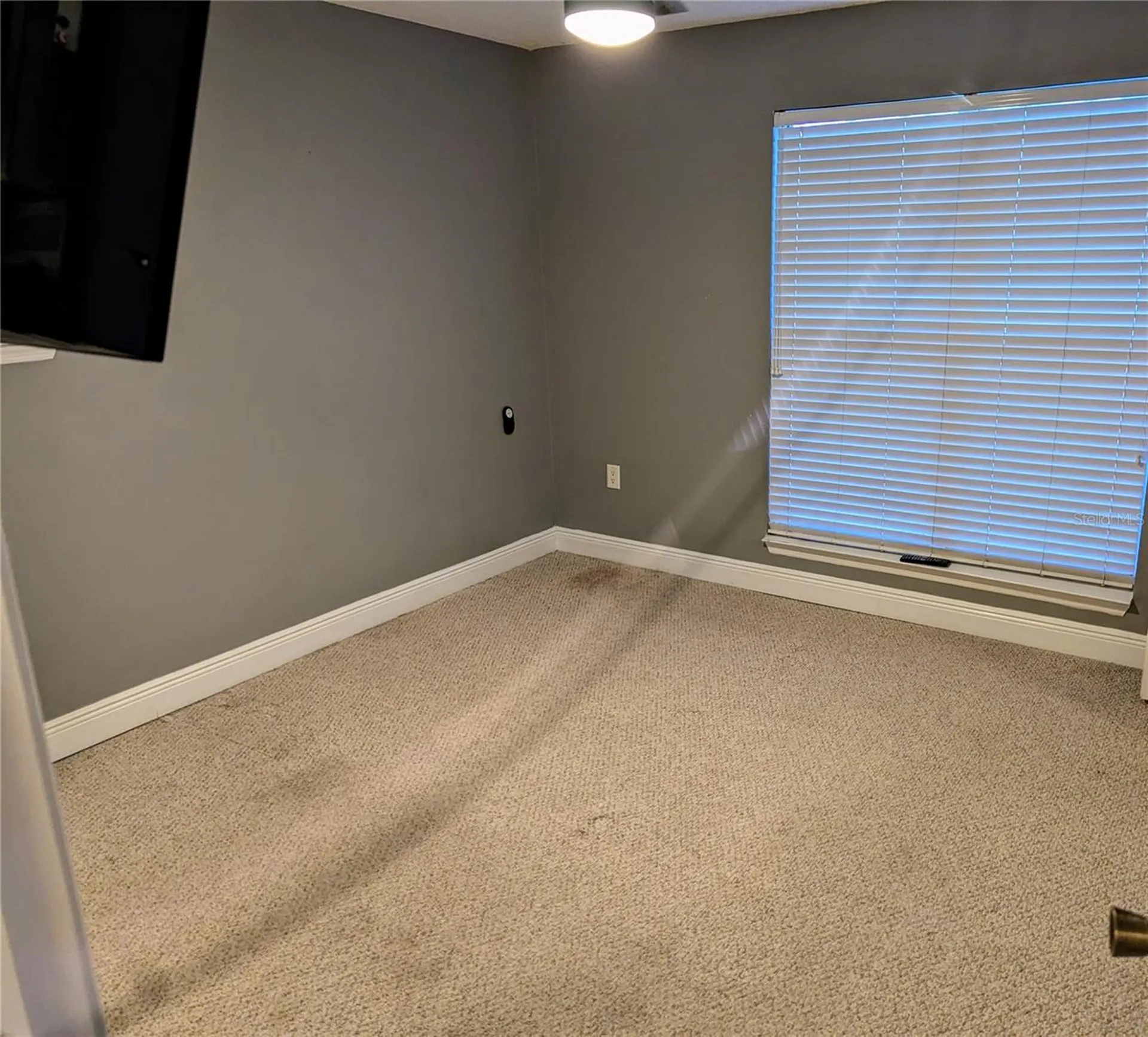 4211 Chatham Oak Court Tampa FL 33624