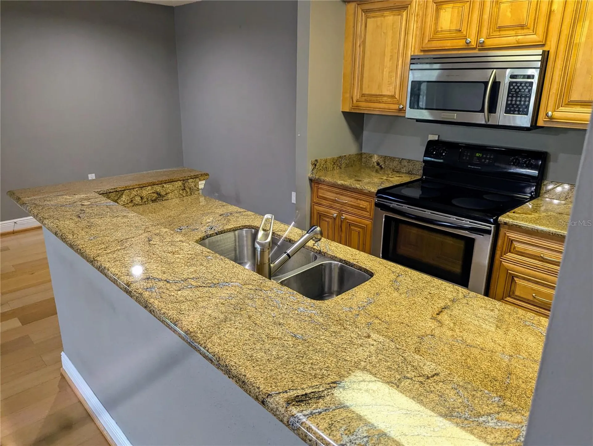 4211 Chatham Oak Court Tampa FL 33624