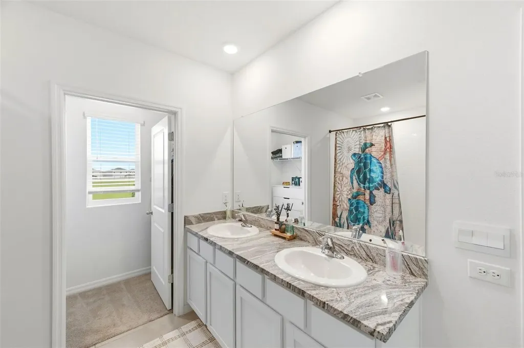 8210 Dolphin Bluff Boulevard Wesley Chapel FL 33545