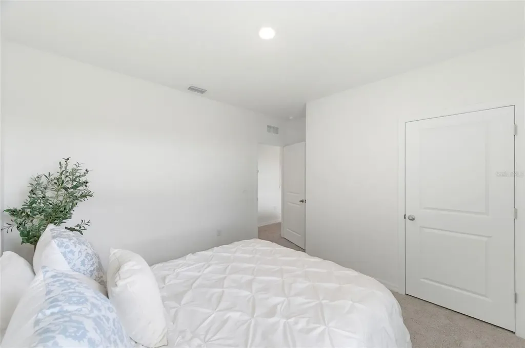 8210 Dolphin Bluff Boulevard Wesley Chapel FL 33545