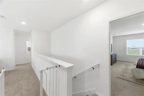 8210 Dolphin Bluff Boulevard Wesley Chapel FL 33545