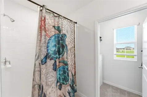 8210 Dolphin Bluff Boulevard Wesley Chapel FL 33545
