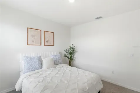 8210 Dolphin Bluff Boulevard Wesley Chapel FL 33545