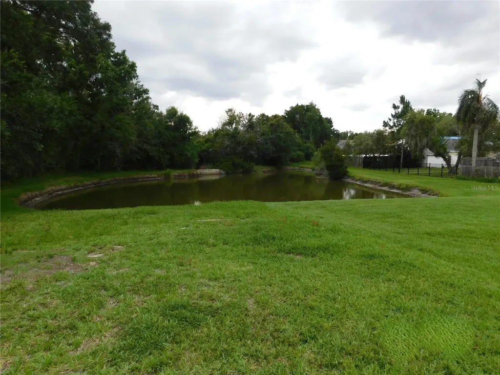 28934 Stormcloud Pass Wesley Chapel FL 33543