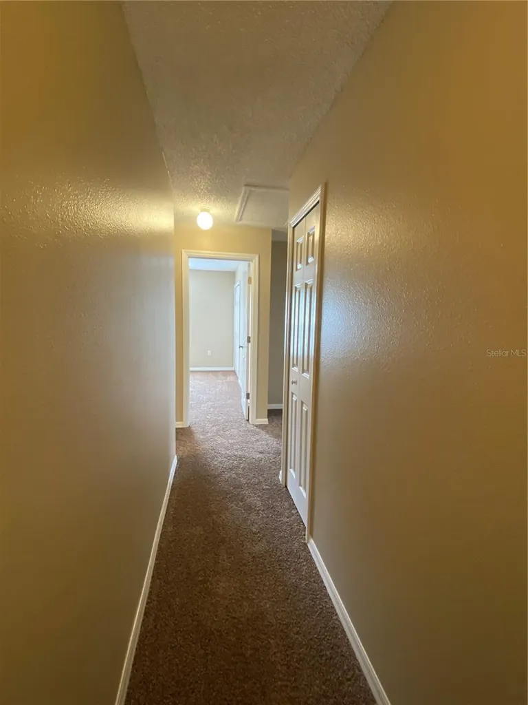 30302 Double Drive Wesley Chapel FL 33545