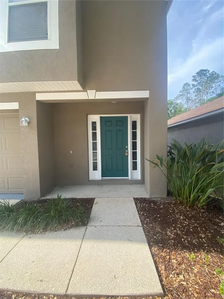 30302 Double Drive Wesley Chapel FL 33545
