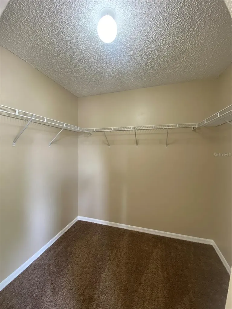 30302 Double Drive Wesley Chapel FL 33545