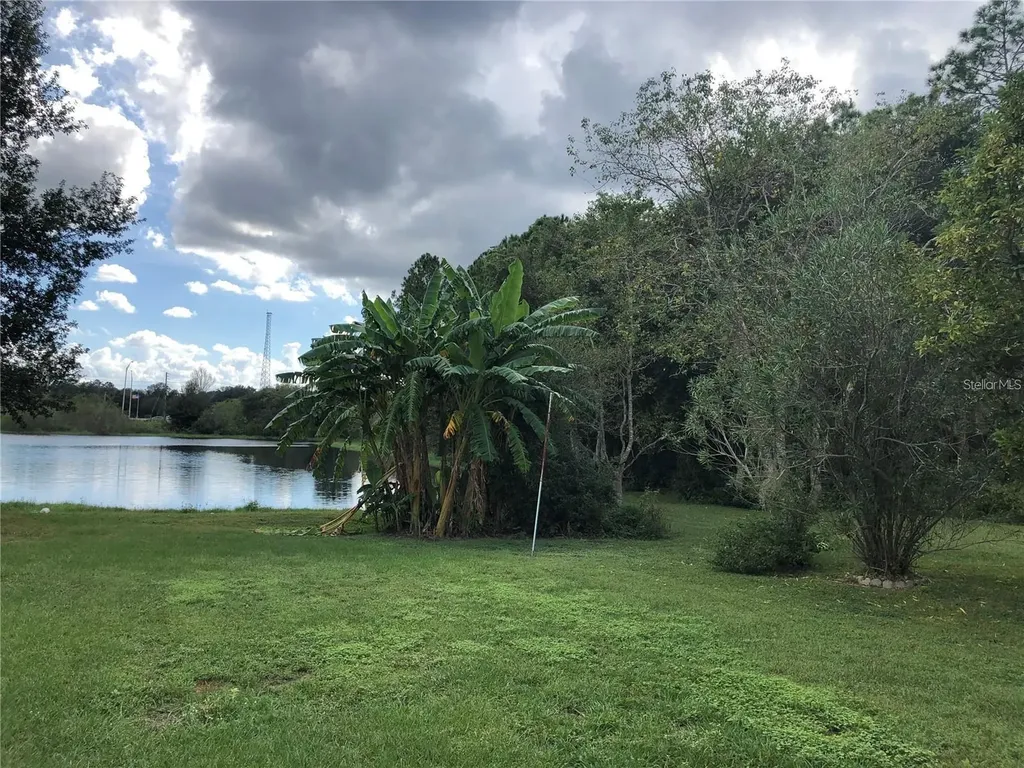 30302 Double Drive Wesley Chapel FL 33545
