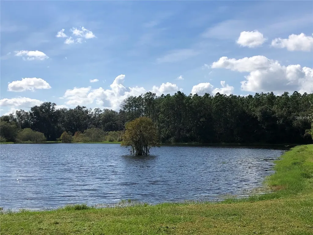 30302 Double Drive Wesley Chapel FL 33545
