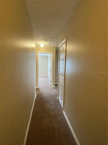 30302 Double Drive Wesley Chapel FL 33545