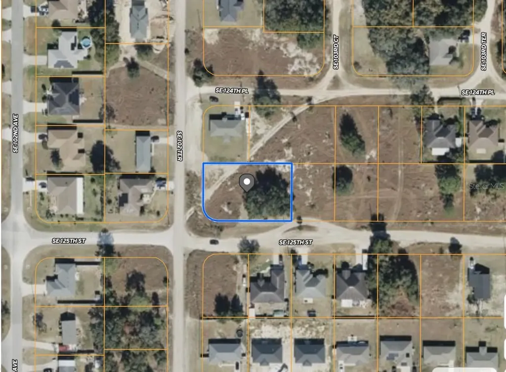 SE 102nd Terrace Belleview FL 34420