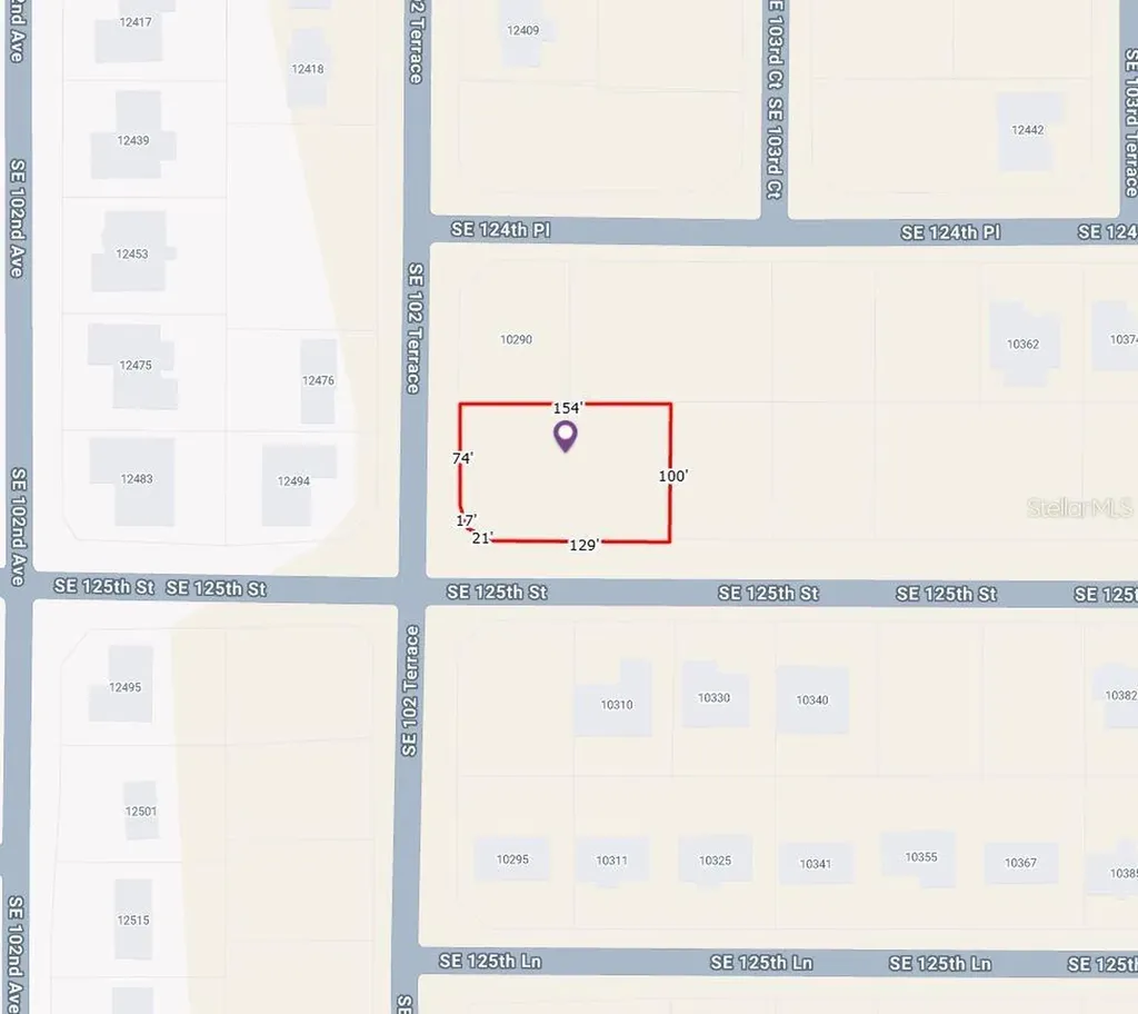 SE 102nd Terrace Belleview FL 34420