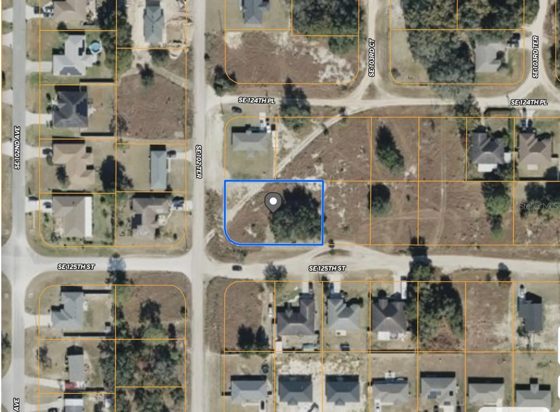 SE 102nd Terrace Belleview FL 34420