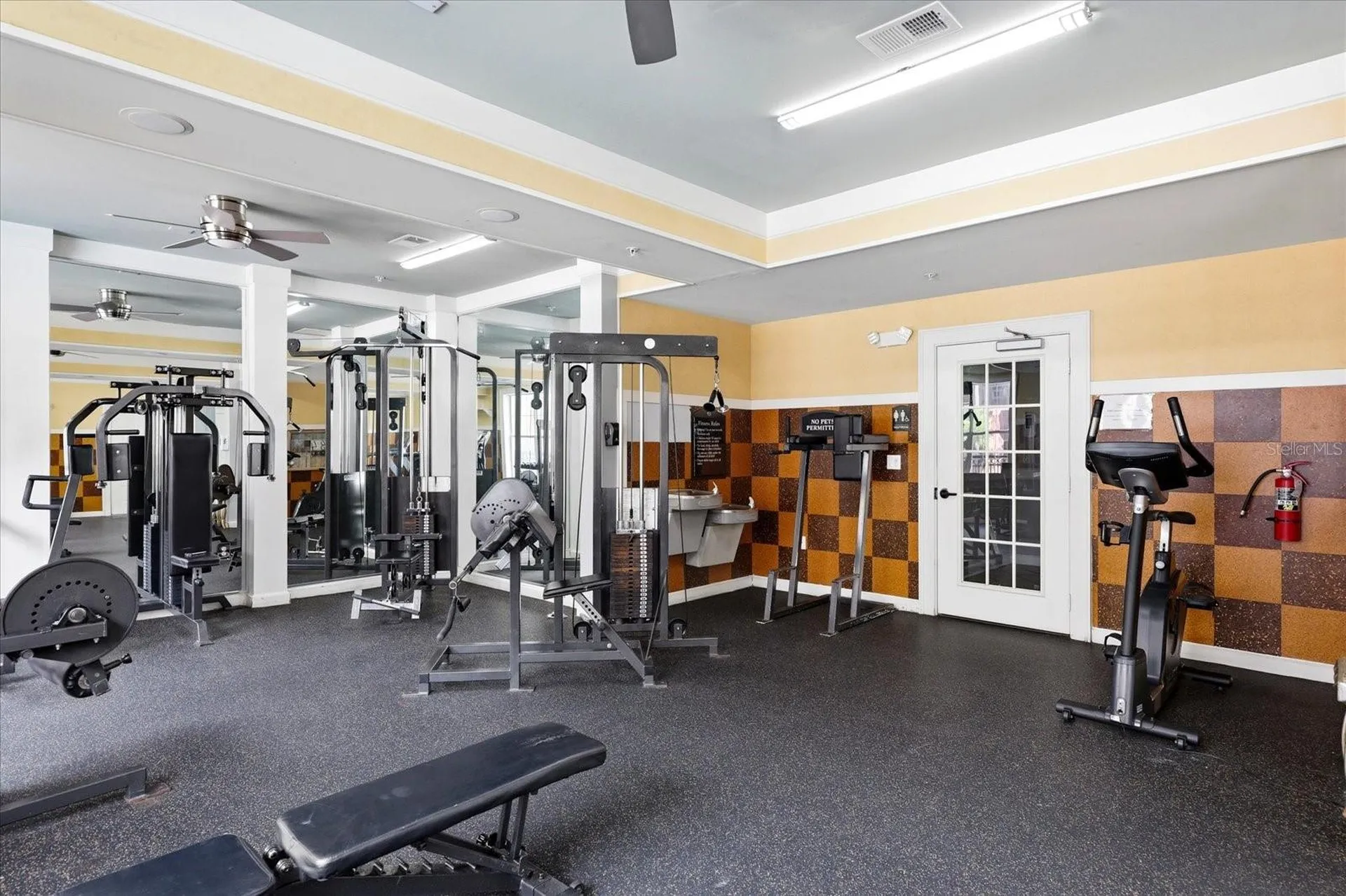 4221 W Spruce Street Tampa FL 33607