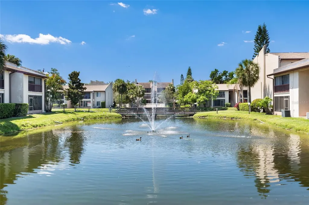 3840 N Lake Drive Tampa FL 33614