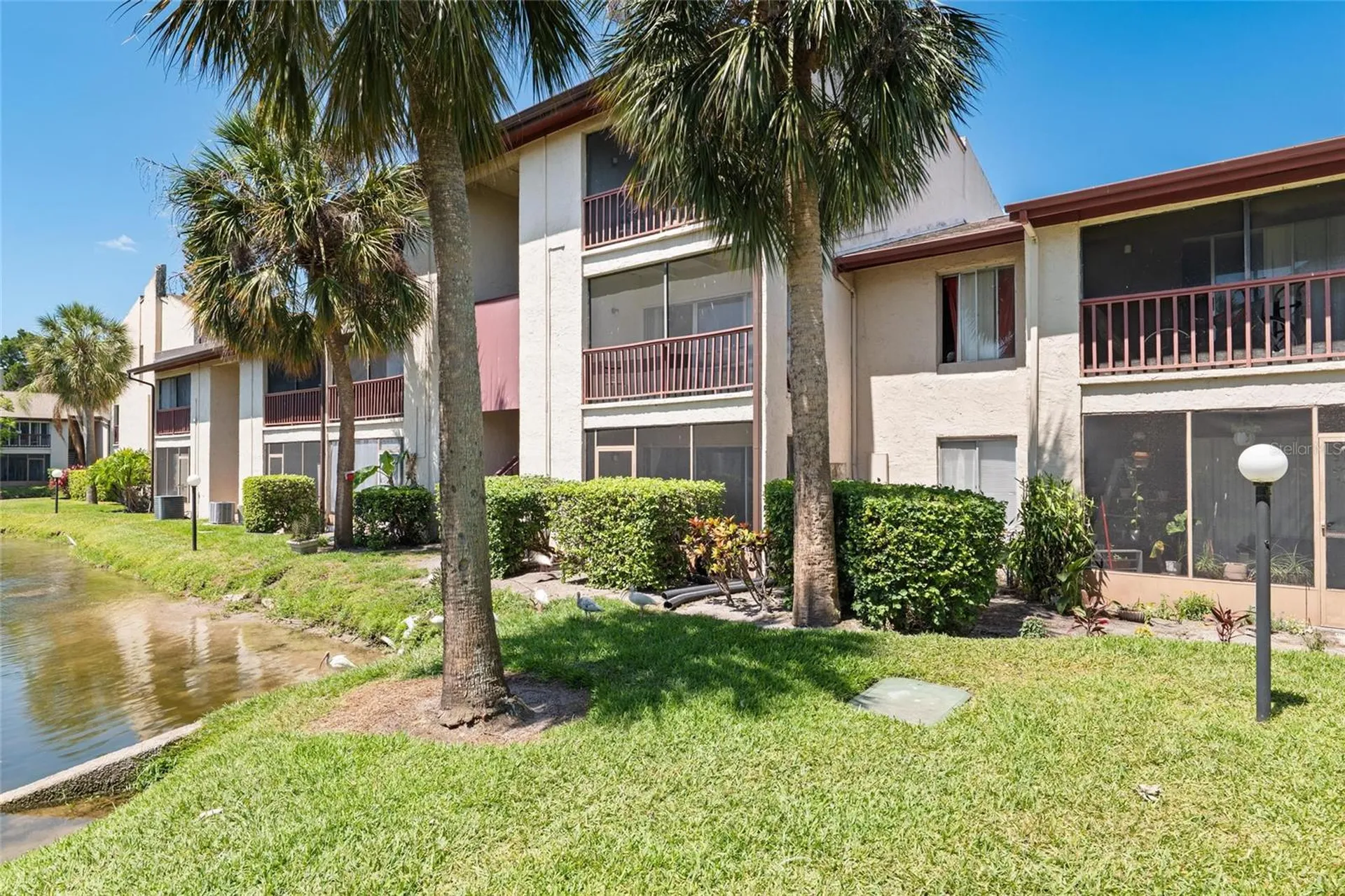 3840 N Lake Drive Tampa FL 33614