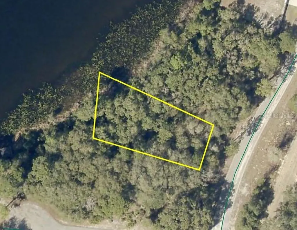 Lot 37 Malauka Radial Ocklawaha FL 32179