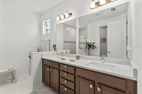 4836 Reisswood Loop Palmetto FL 34221