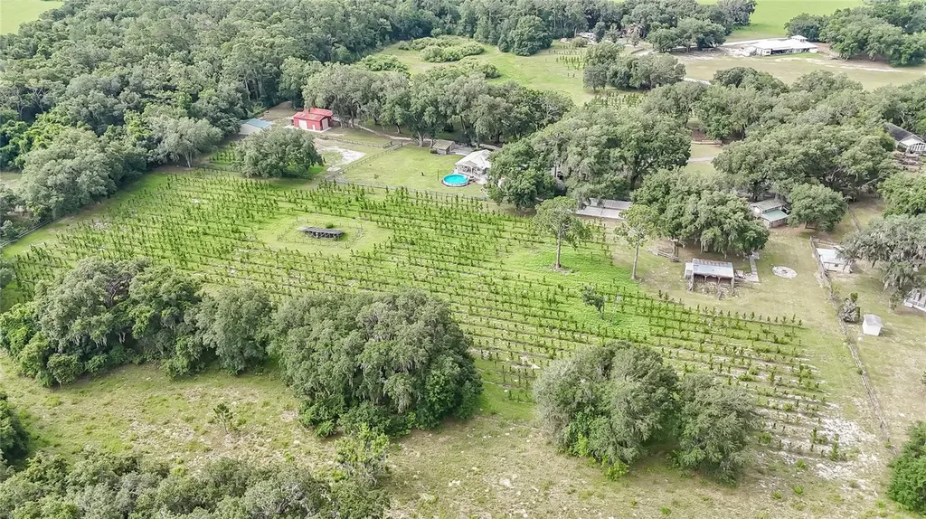 5117 Cr 316a Bushnell FL 33513