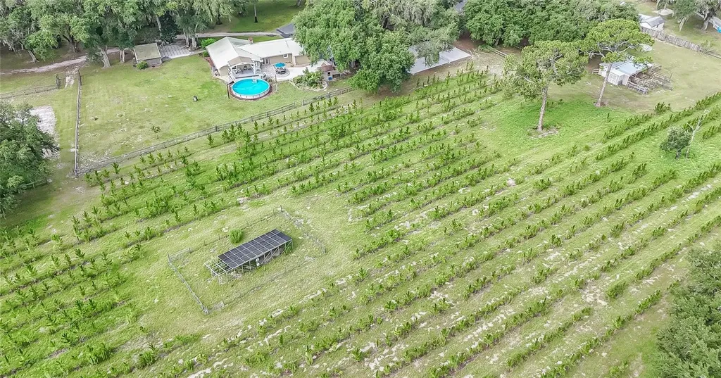 5117 Cr 316a Bushnell FL 33513