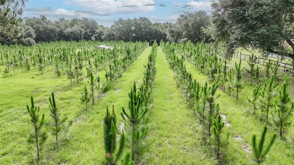 5117 Cr 316a Bushnell FL 33513