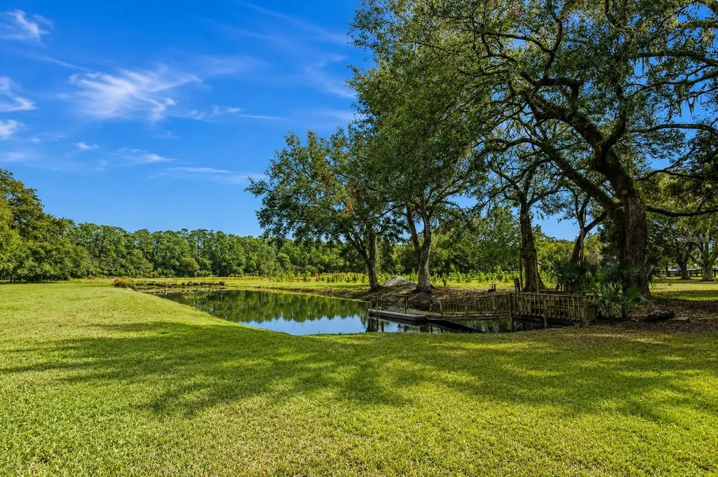 5117 Cr 316a Bushnell FL 33513