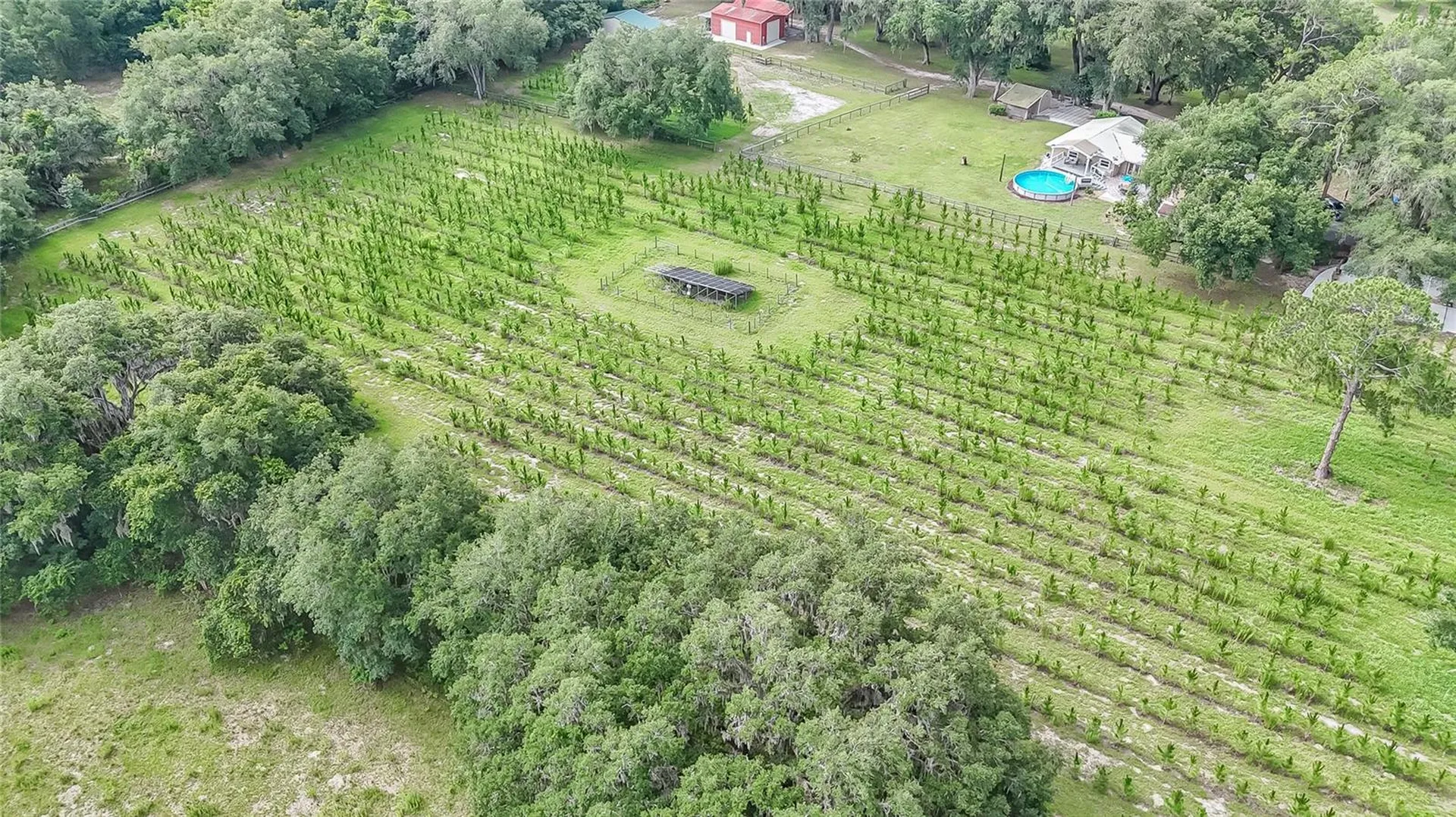 5117 Cr 316a Bushnell FL 33513