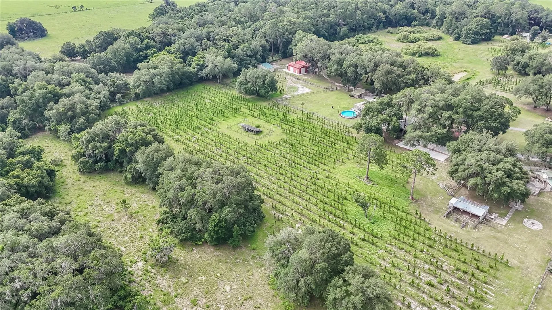 5117 Cr 316a Bushnell FL 33513