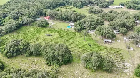 5117 Cr 316a Bushnell FL 33513