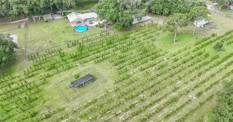5117 Cr 316a Bushnell FL 33513