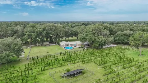 5117 Cr 316a Bushnell FL 33513
