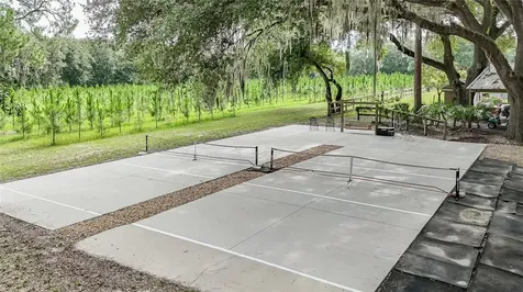 5117 Cr 316a Bushnell FL 33513