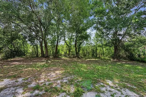 28353 Tanglewood Drive Wesley Chapel FL 33543