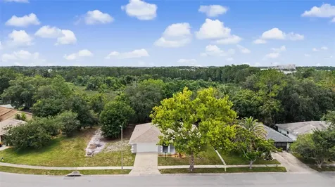 28353 Tanglewood Drive Wesley Chapel FL 33543
