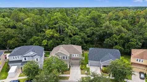 6944 Rocky Canyon Way Tampa FL 33625
