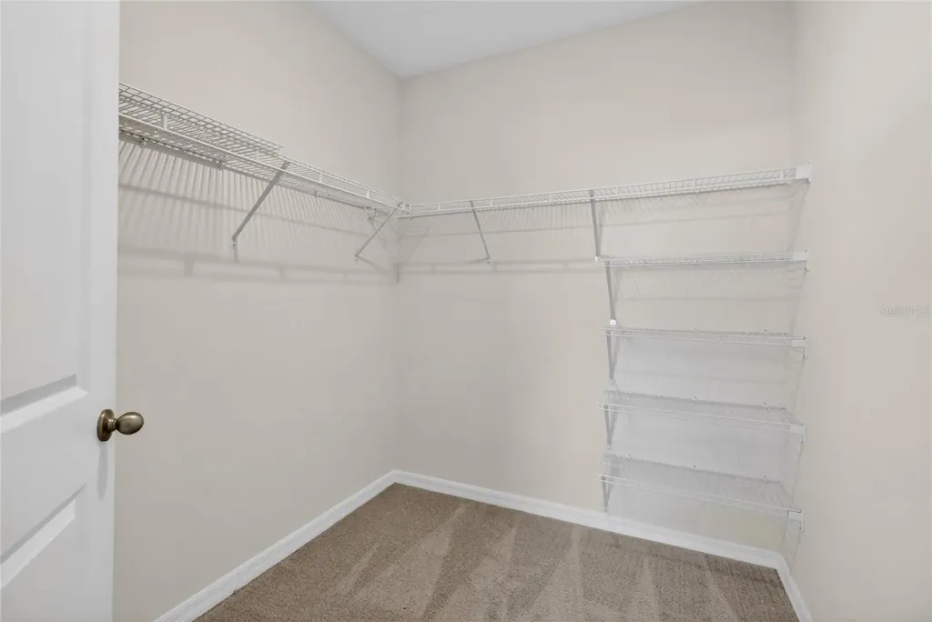 32107 Conchshell Sail Street Wesley Chapel FL 33545