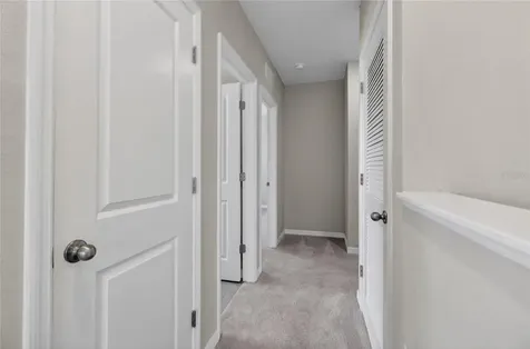 32107 Conchshell Sail Street Wesley Chapel FL 33545