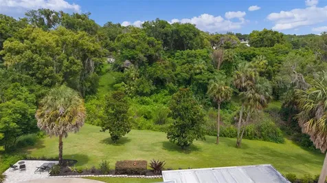 306 N Clayton Street Mount Dora FL 32757