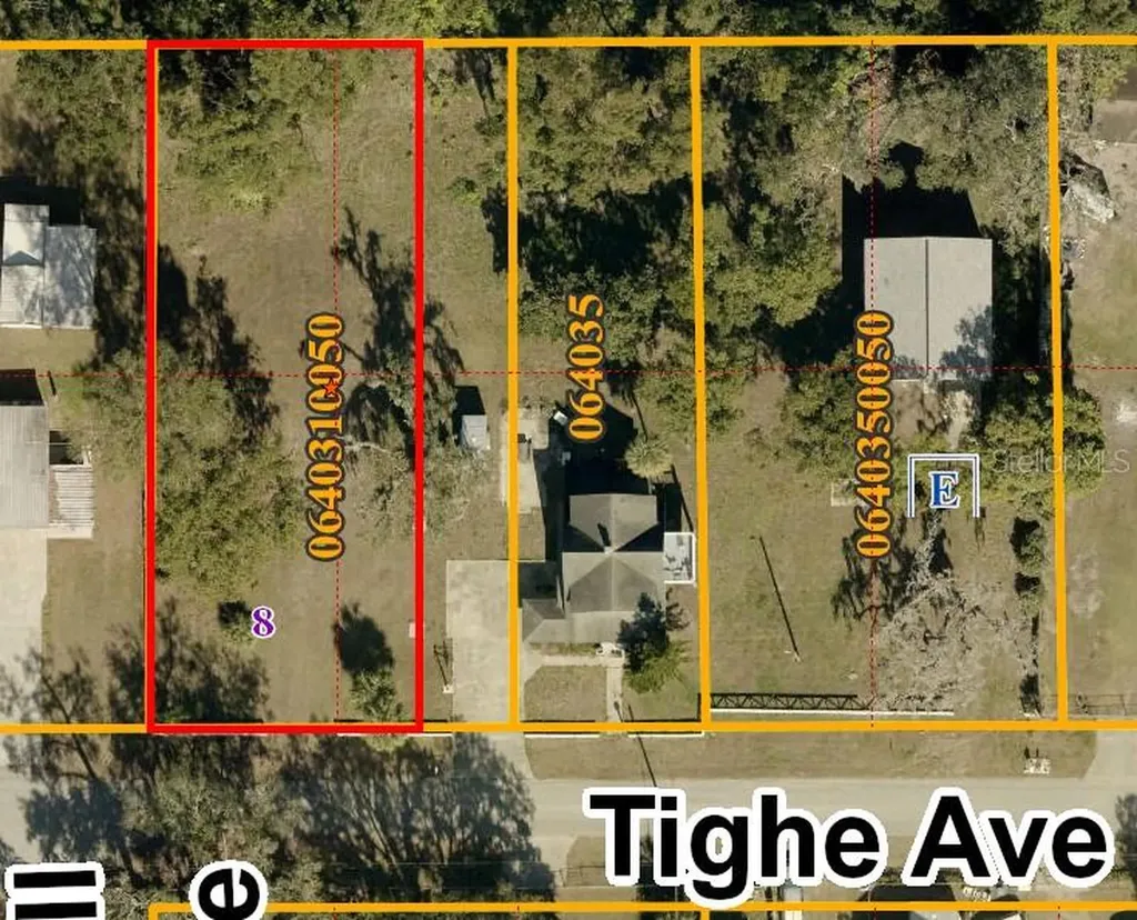 Tighe Street Seffner FL 33584