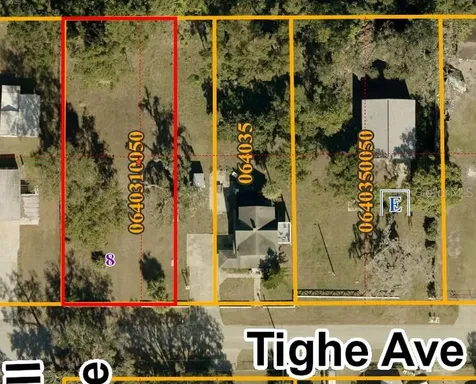 Tighe Street Seffner FL 33584