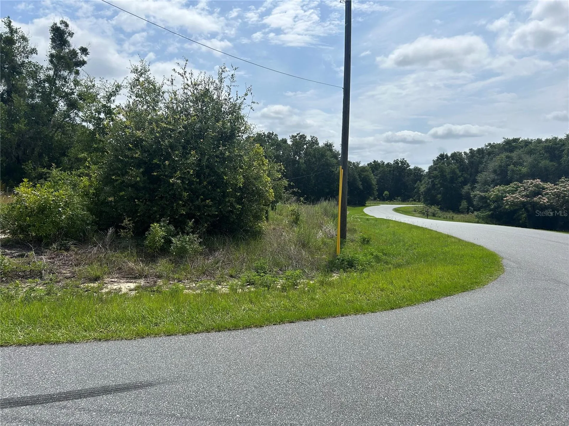 Tbd Larch Course Terrace Ocala FL 34480