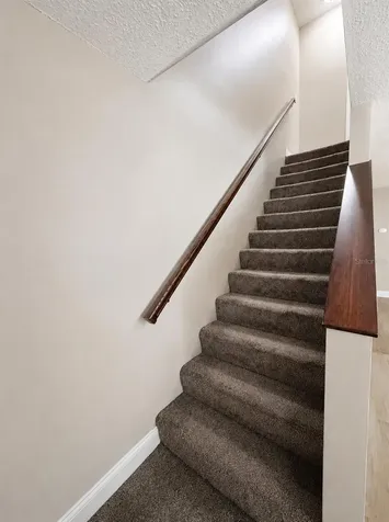 11905 Cypress Vista Tampa FL 33626